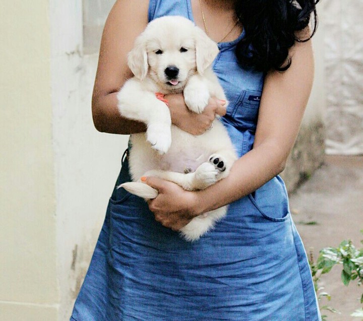 baby prince