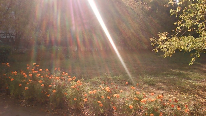 Autum