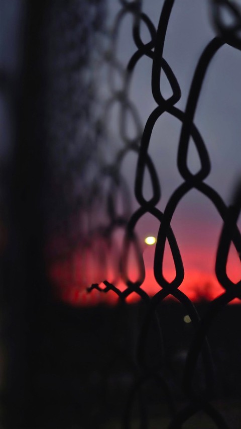 papéis de parede Fence, sunset