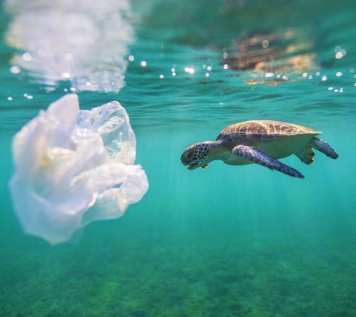 underwater