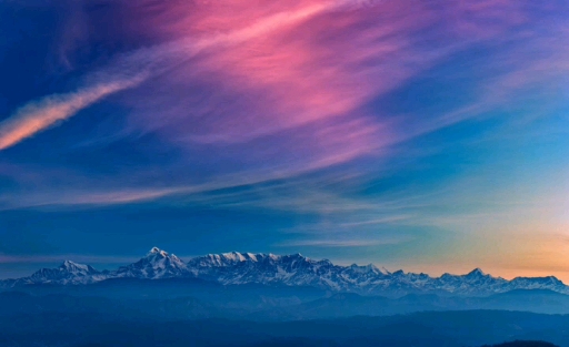 North Pole. Live.