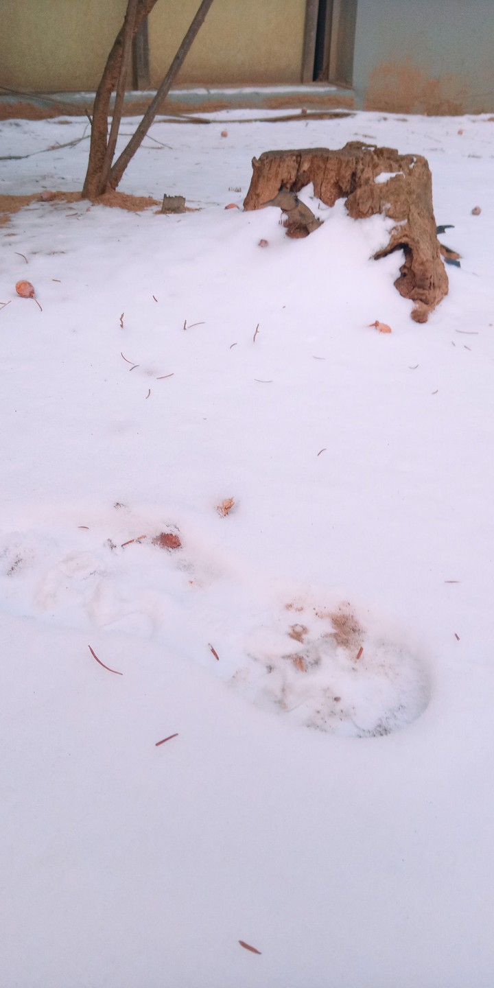 snow