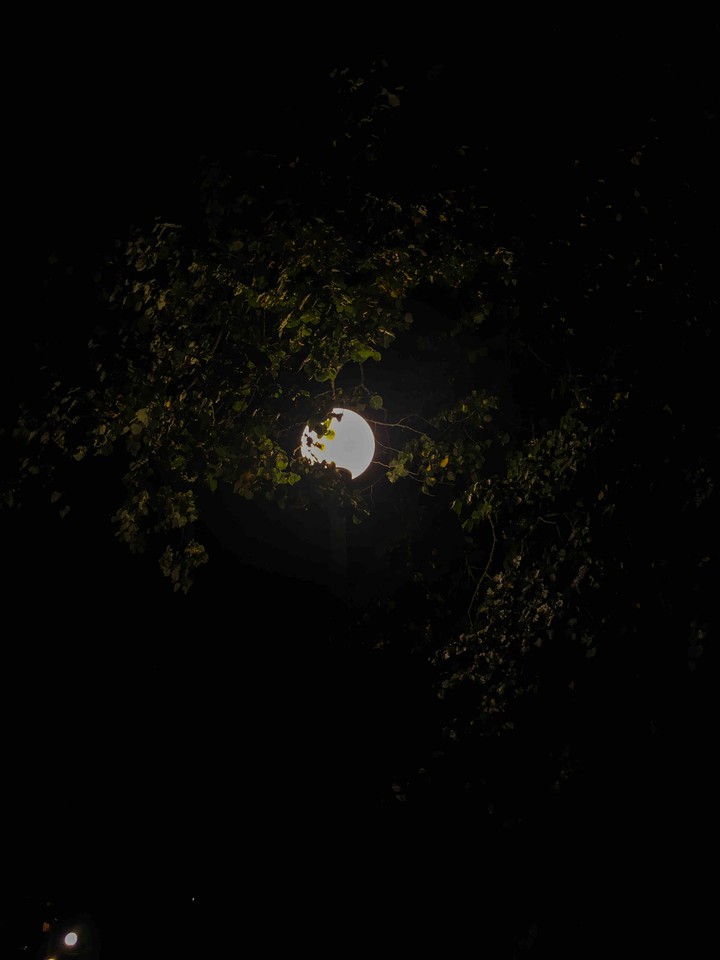 moon