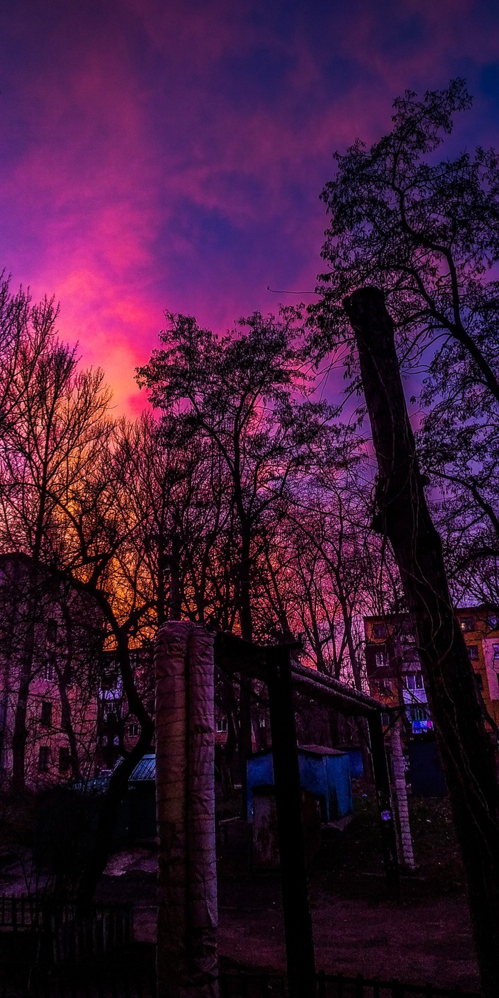 Дворик