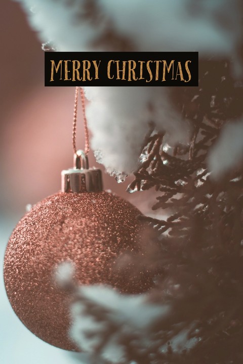 Merry Christmas to You