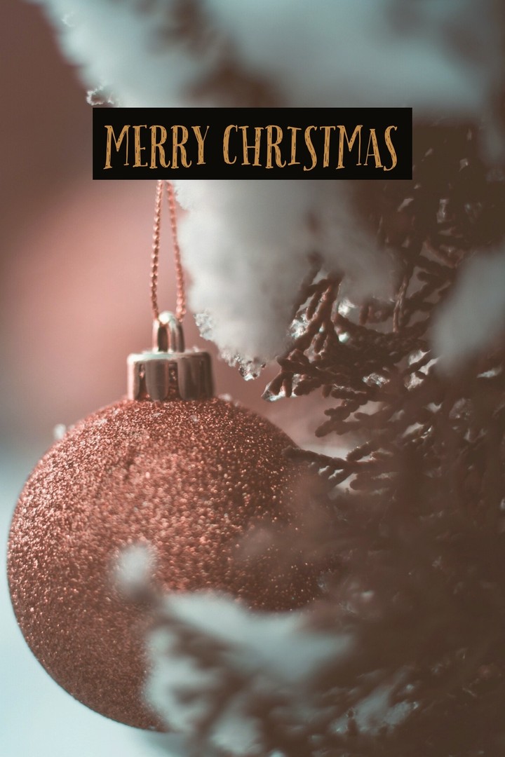 Merry Christmas to You 