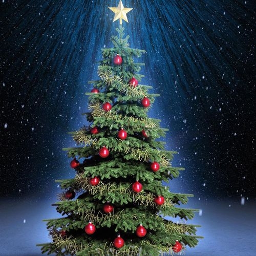 Christmas tree