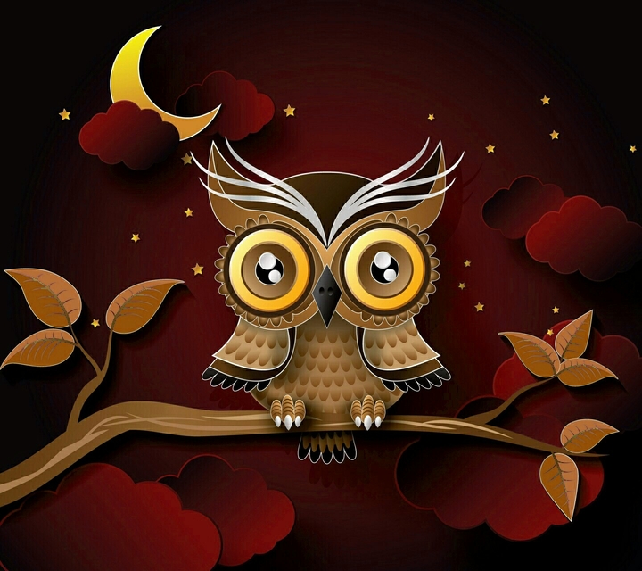 Owl