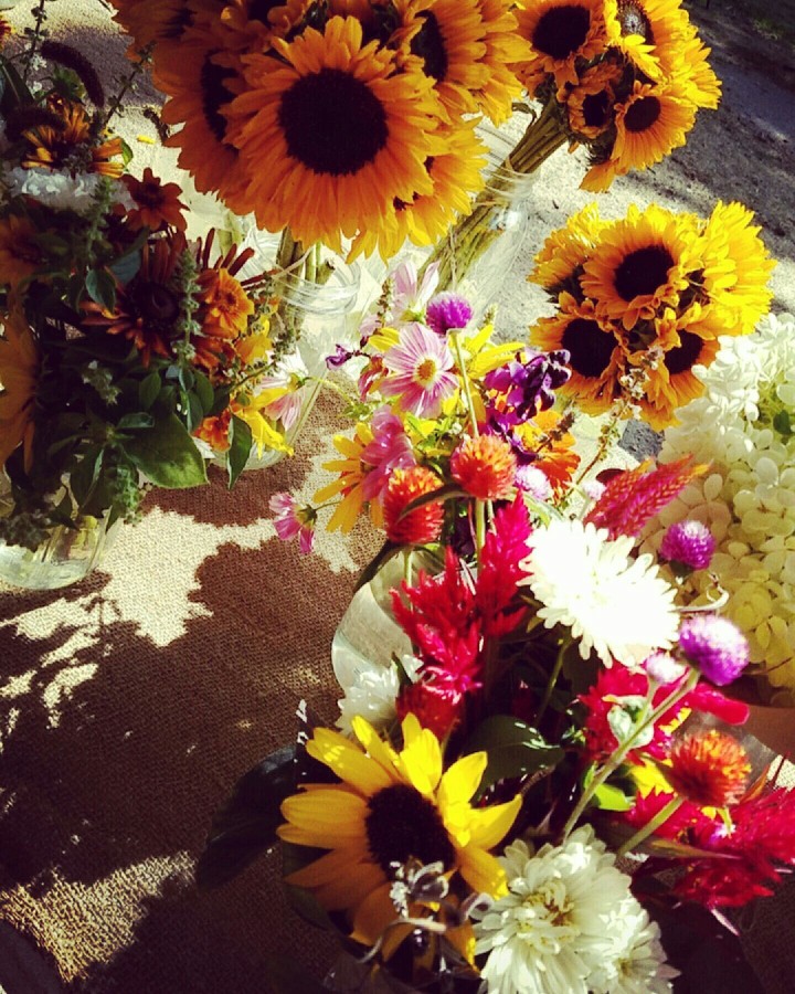 Mason Jars and Sunflowers
