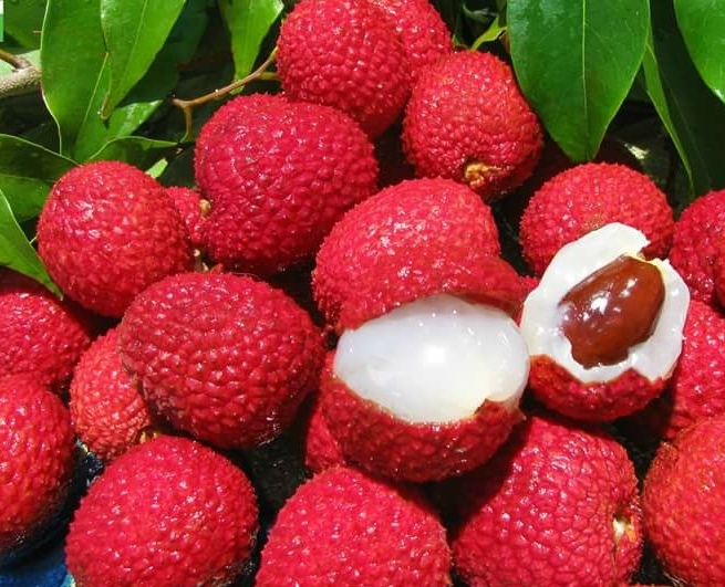 delicious lichi