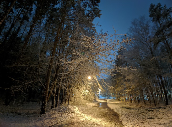 Snowy night