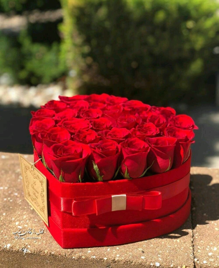 گل قرمز ❤??