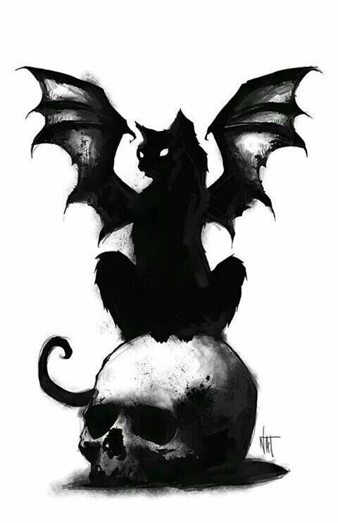 Cat black