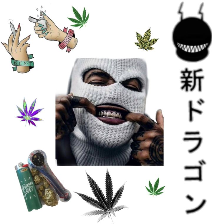 6666