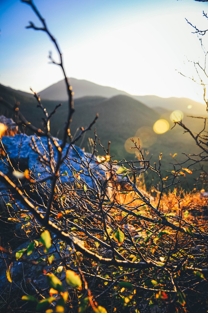 Fall sunset