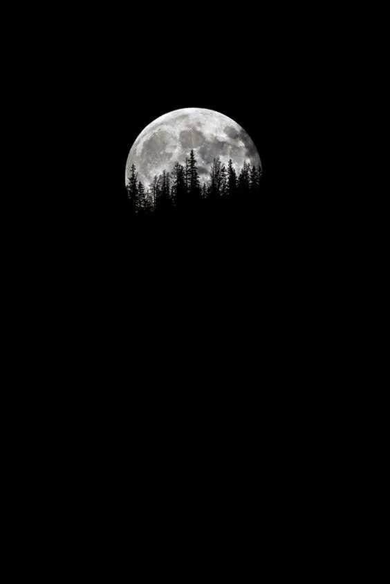 moon (ay)