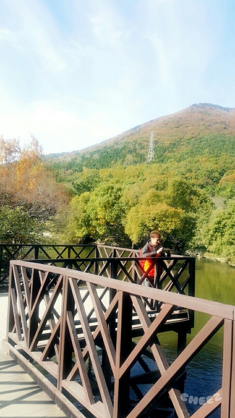 trestle, Tourism वॉलपेपर