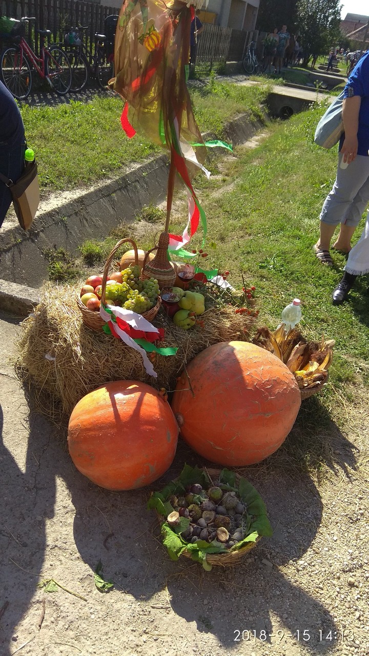 Harvest
