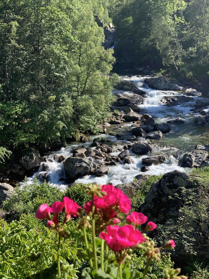 flores in fiume