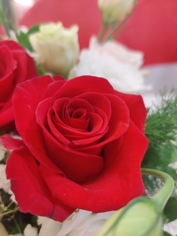 .