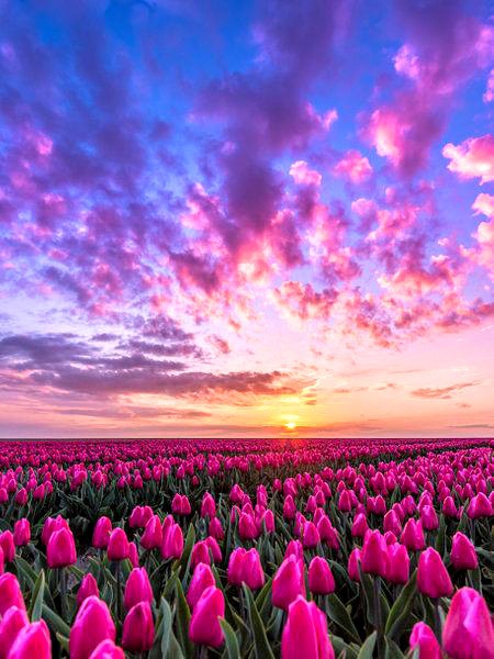 Un buongiorno pieno di colore☀️....