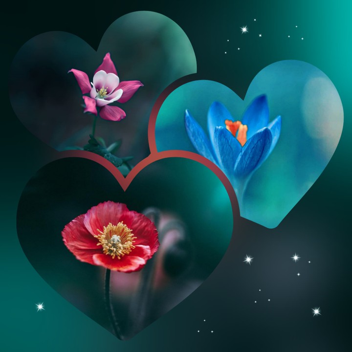 flowers collage...