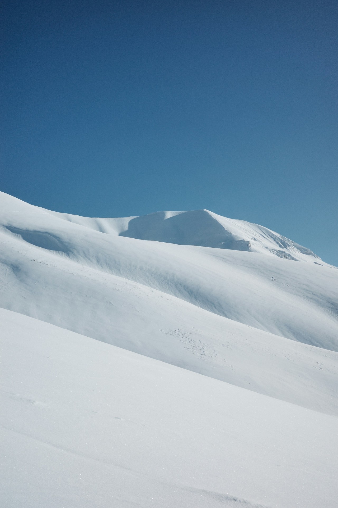 ταπετσαρίες freezing, blue