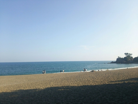 桂浜！