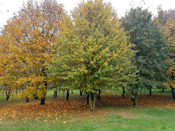 autunno