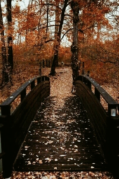 Autumn ♡