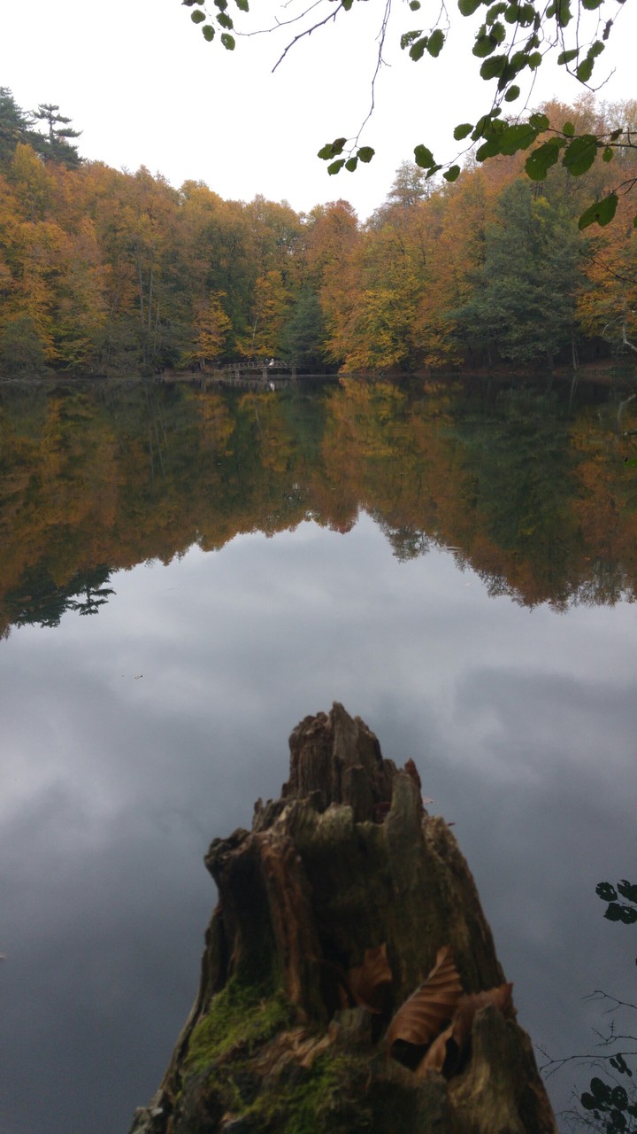Lake