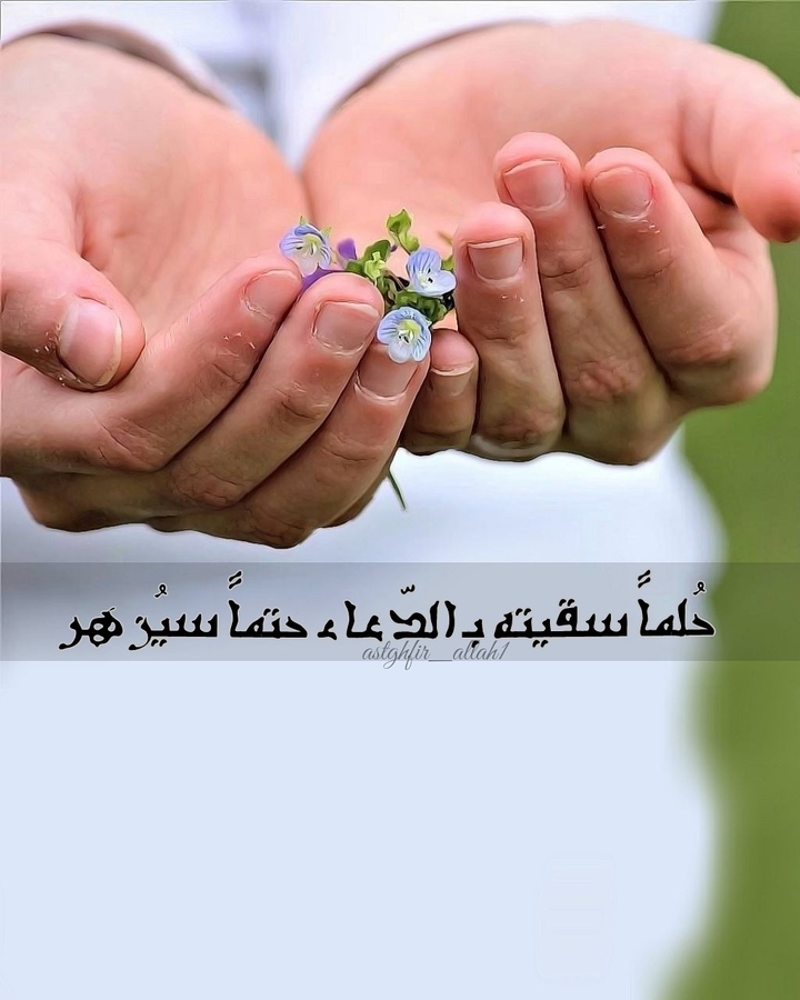 #رحيق_الورد