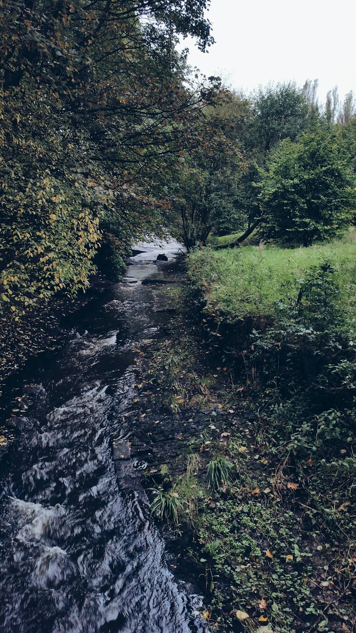 Nature