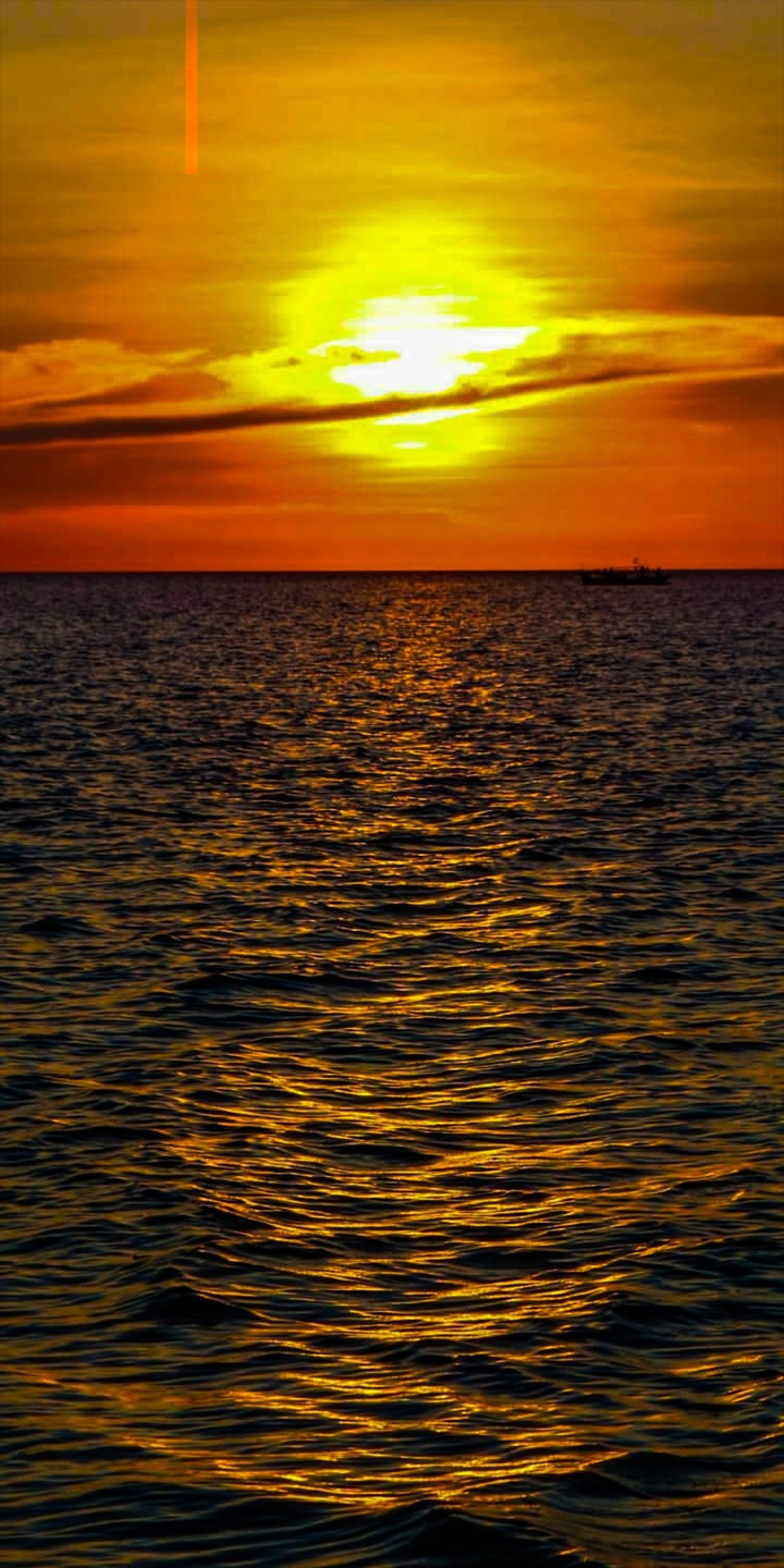sunset
