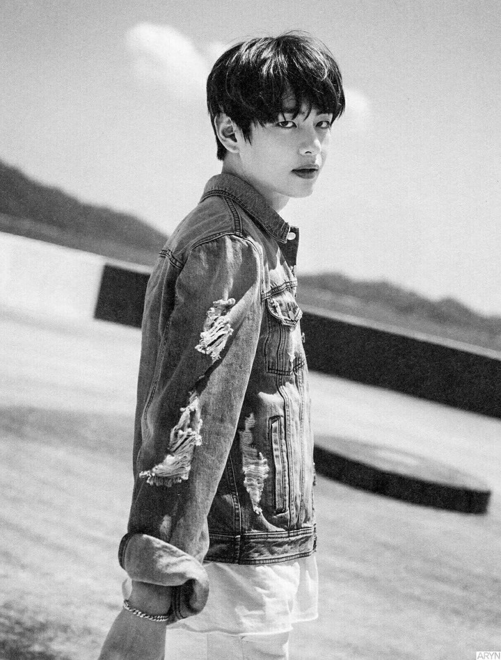 Kim Taehyung (V)