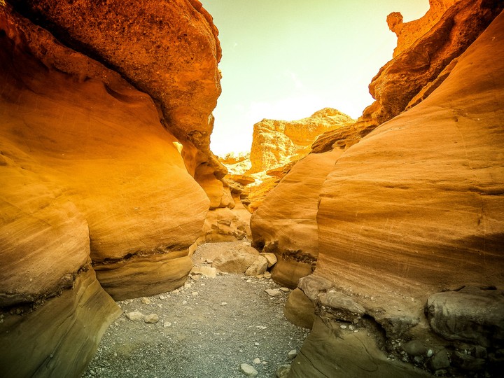 The Red Canyon