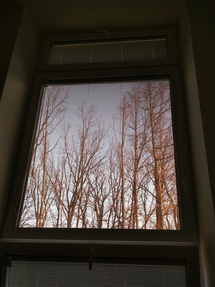 View of the window