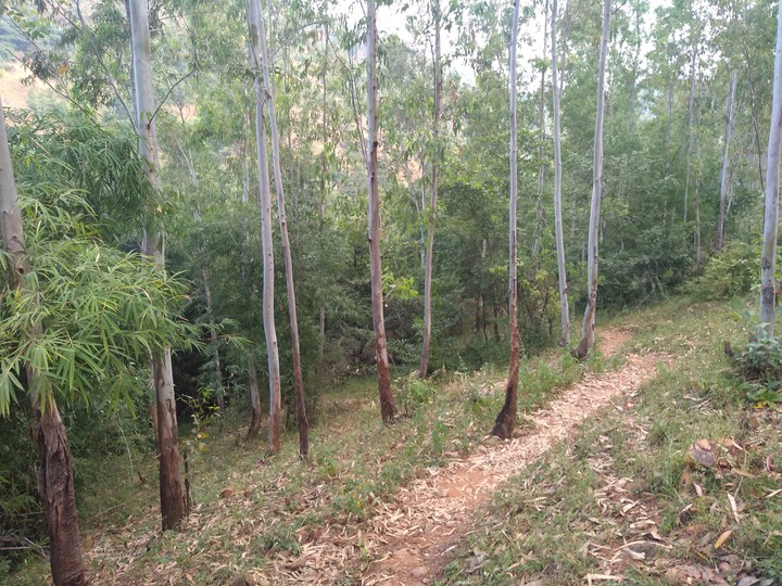 HILL CLIMB