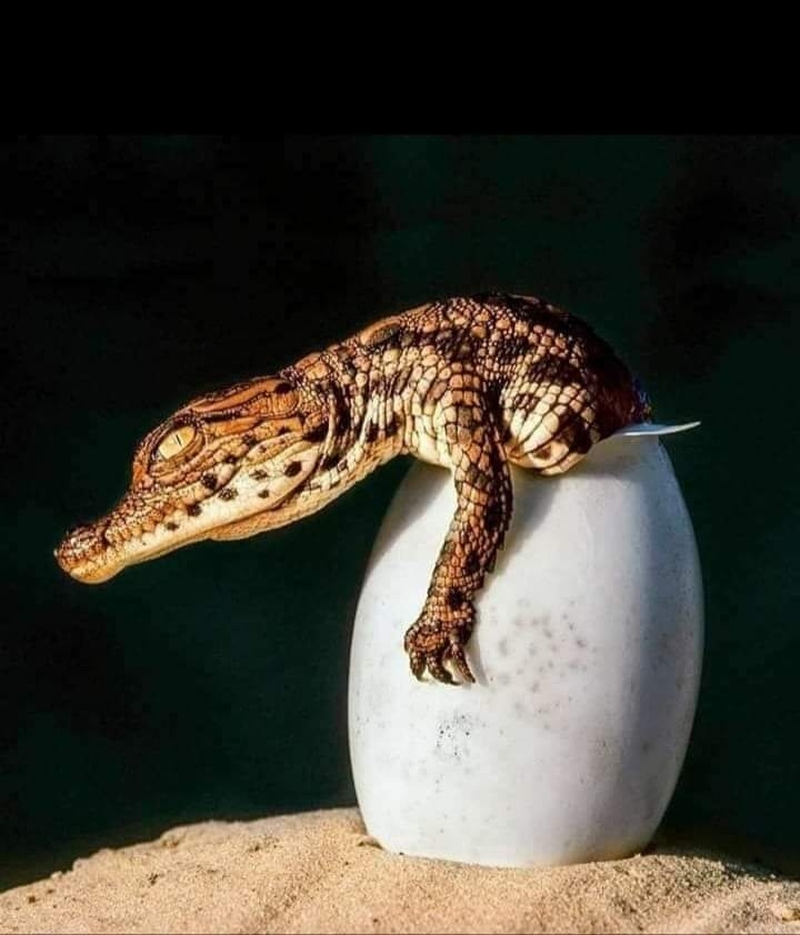 *
