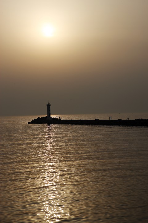 Scenics