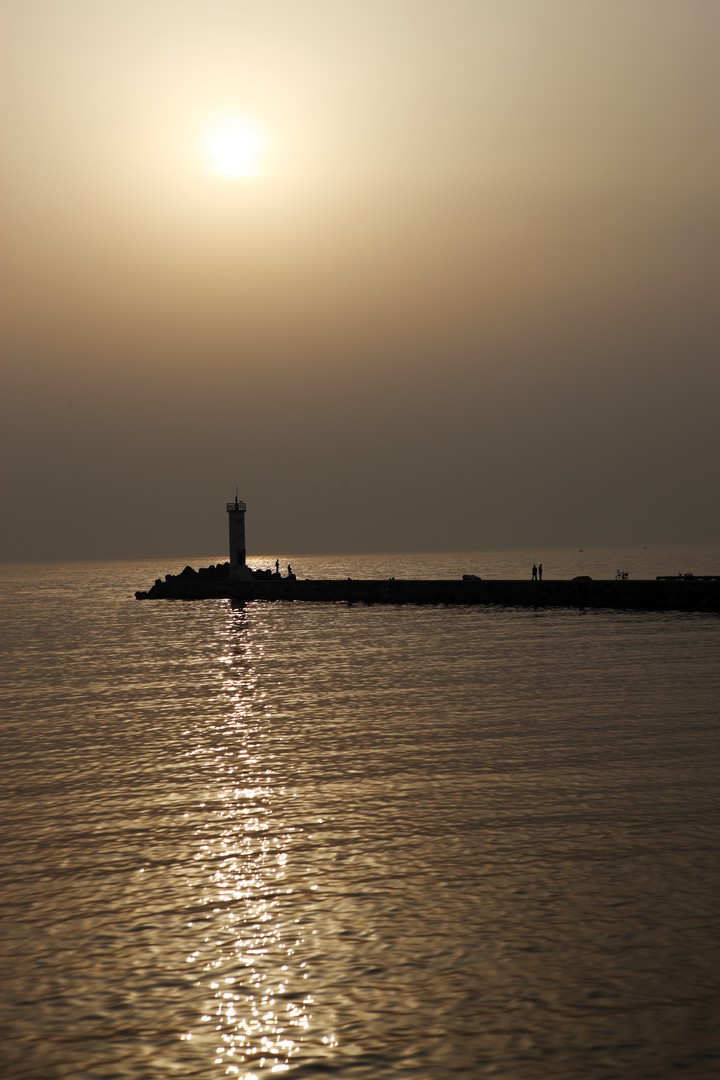 Scenics