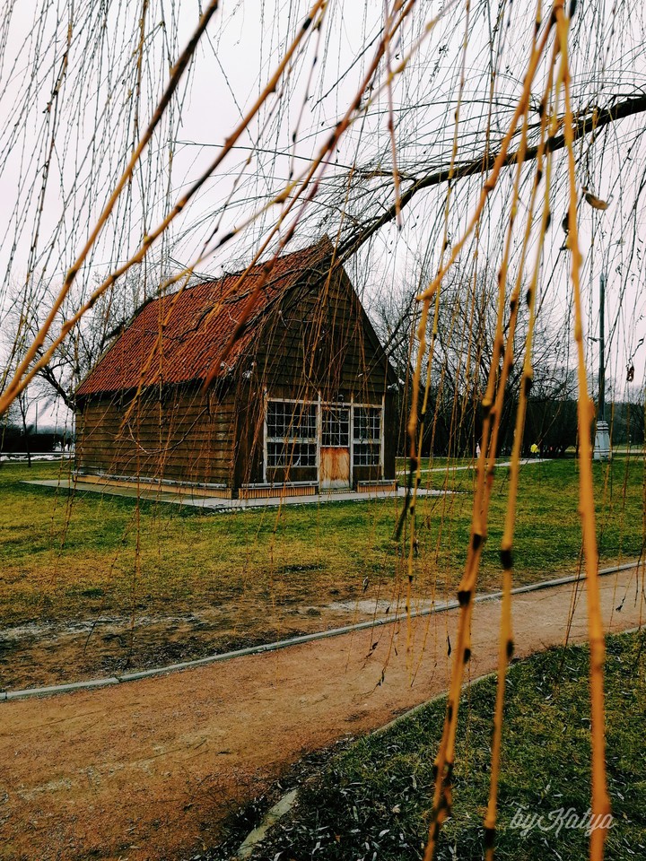 Falconry yard