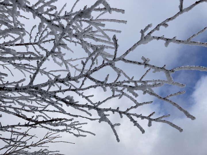 snow