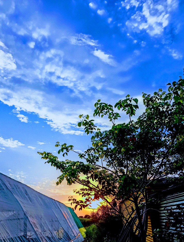 sunset