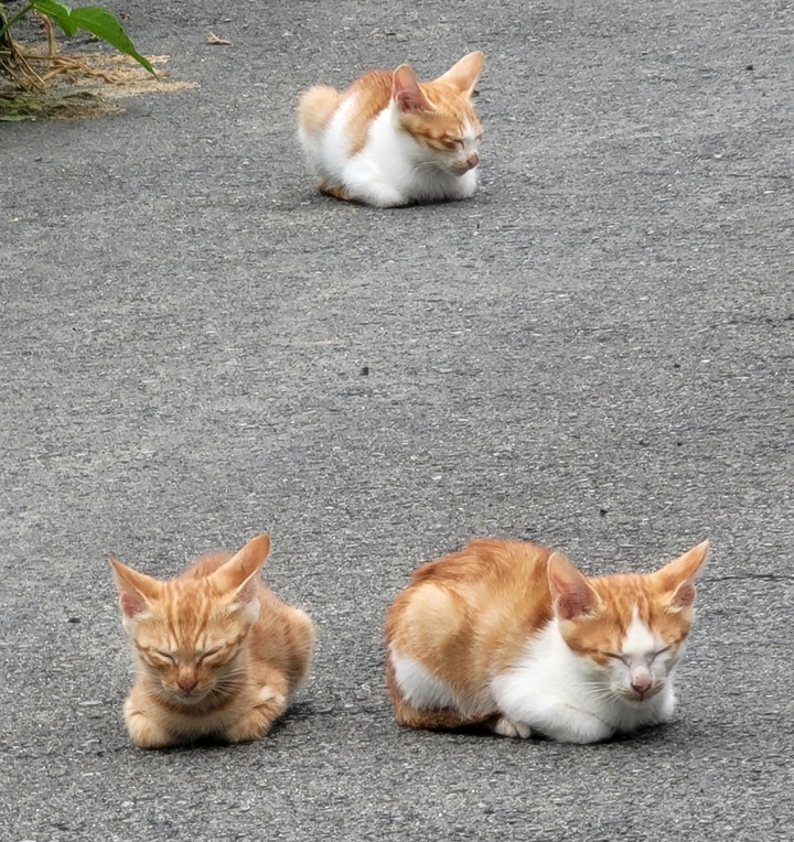 나른한 오후