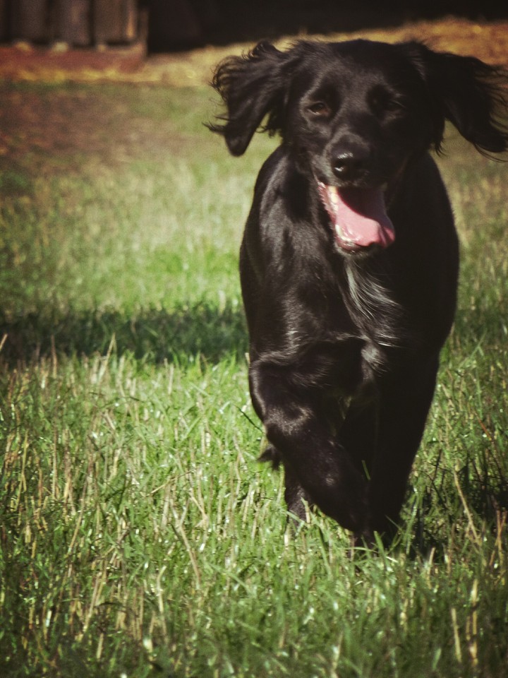 run