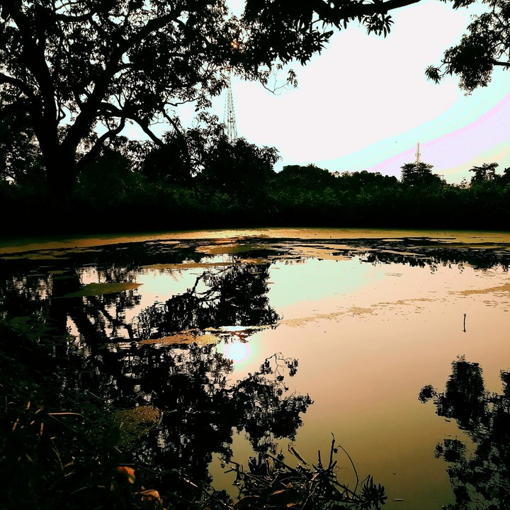 neture