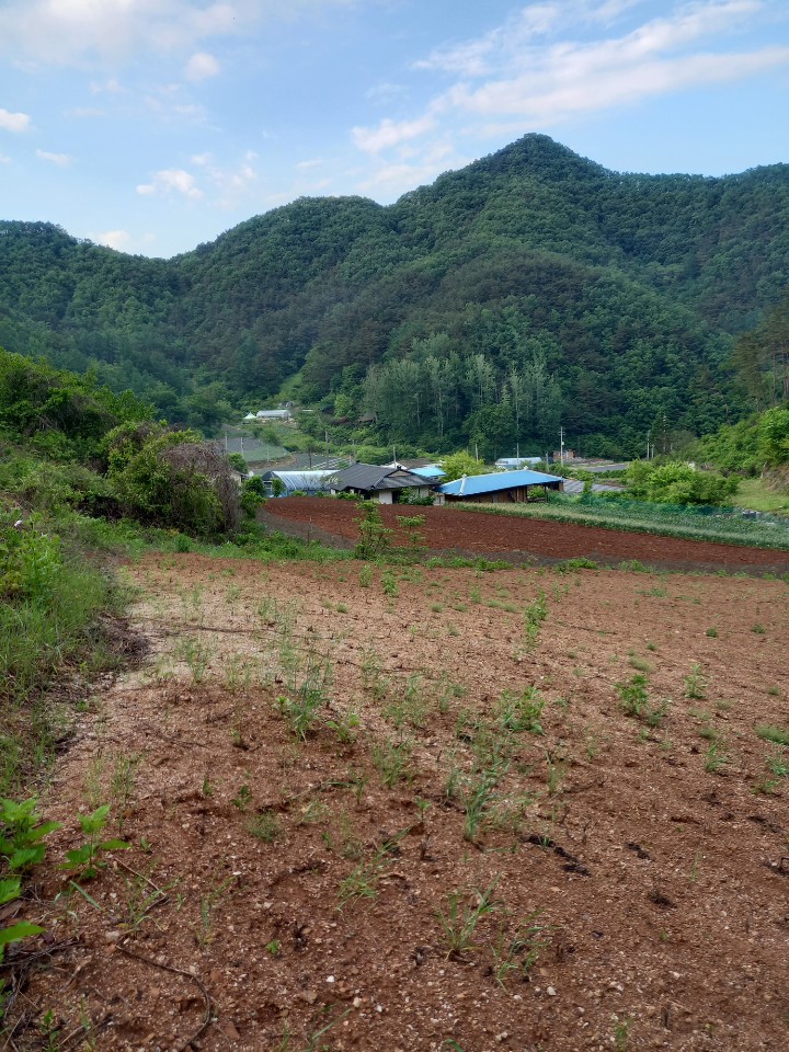 고향(친구네집)