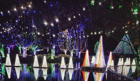 Lights Before Christmas