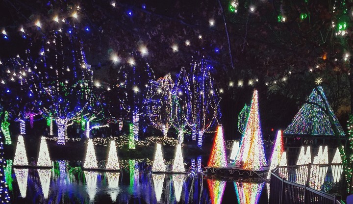 Lights Before Christmas
